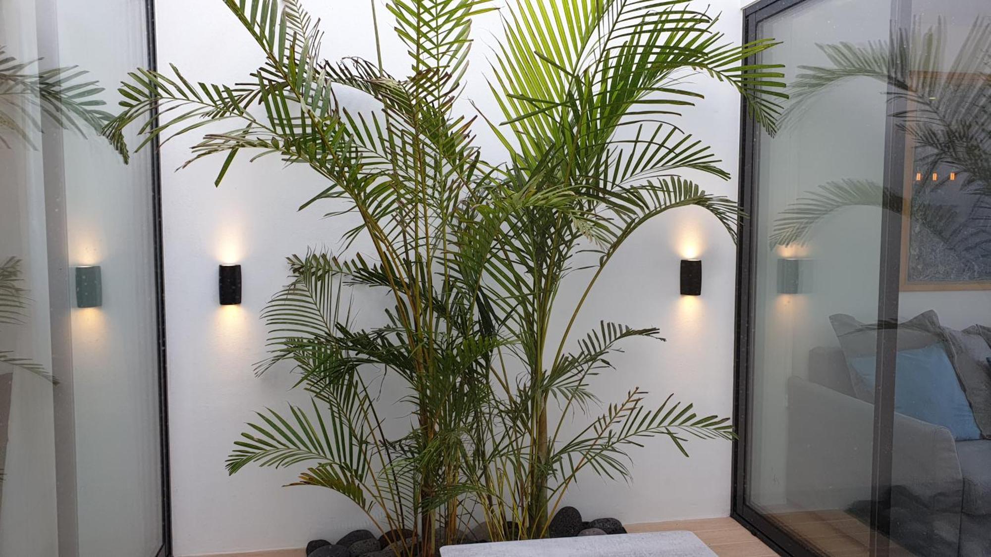 Home At Azores - Oasis House São Roque 部屋 写真